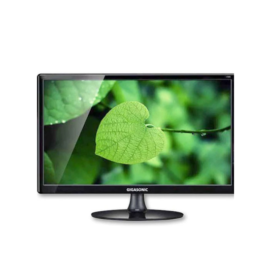 Gigasonic RB-G19S-300C 19 Inch HD LED Monitor