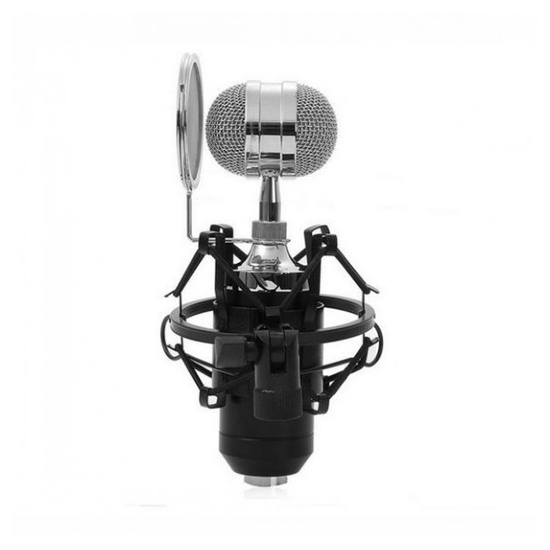 BM-8000 Condenser Sound Recording Microphone With Shock Mount