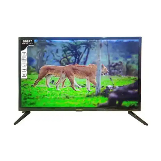 Smart SEL-32L22KS 32 Inch HD Basic LED TV