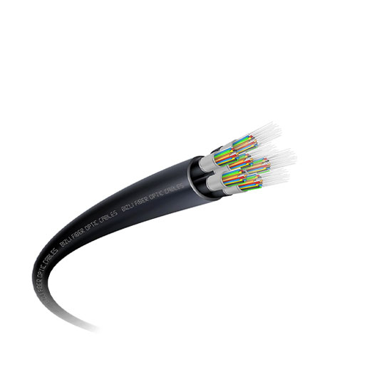 Orasix 2 Core Optical Fiber 1 Meter Network Cable